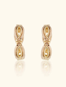 Link Earrings