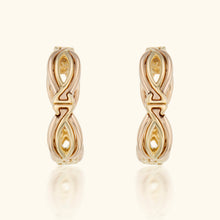 Link Earrings