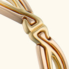 Link Ring