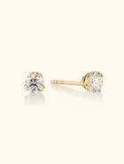 Pulse Earrings