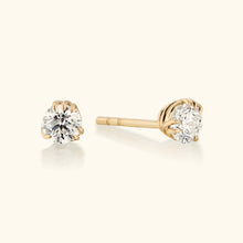 Pulse Earrings